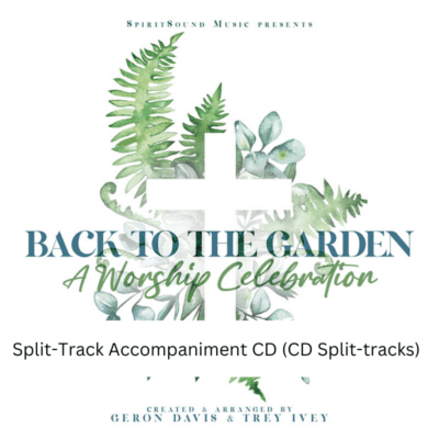 Split Track